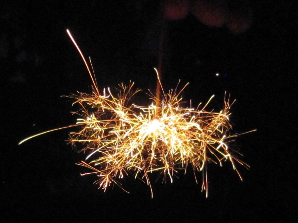 庭の花火 海外で仕事をするのは楽しいですよ 楽天ブログ