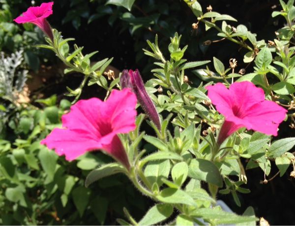 rblog-20140725145027-02.jpg