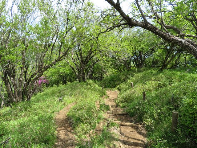 丹沢登山（2）塔ノ岳山頂→丹沢山山頂 | 星とカワセミ好きのブログ - 楽天ブログ