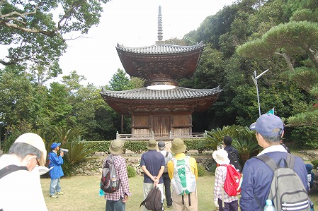 DSC_1279.jpg