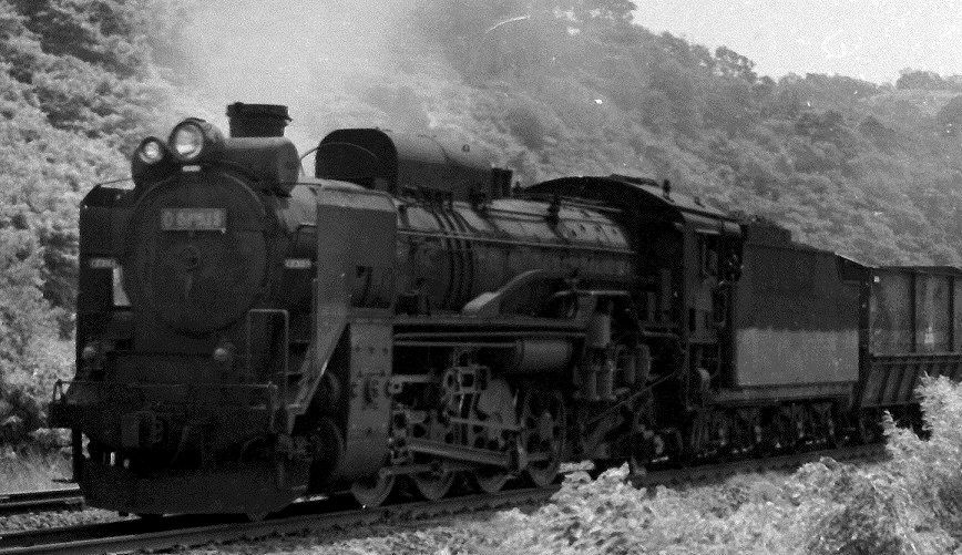本物 蒸気機関車 SL ナンバープレート D51903 - その他
