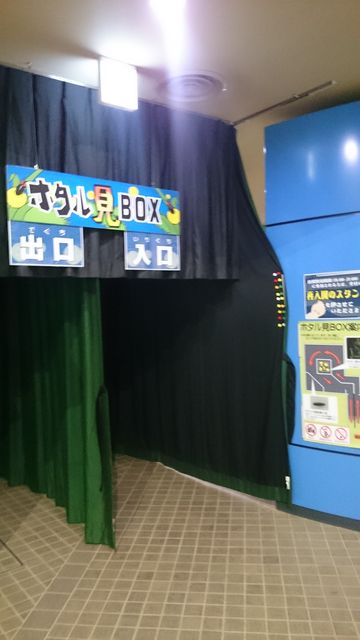 2015-06-12 19.02.42.jpg