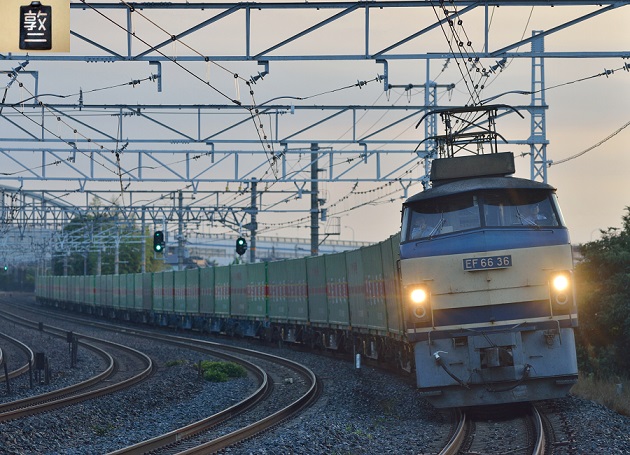 EF66-36 2013.07.07　53レ.JPG