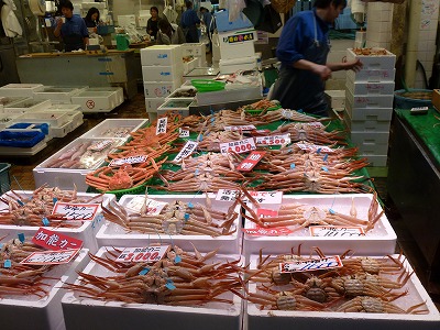 P1080676.jpg