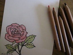 IMG_7229.JPG
