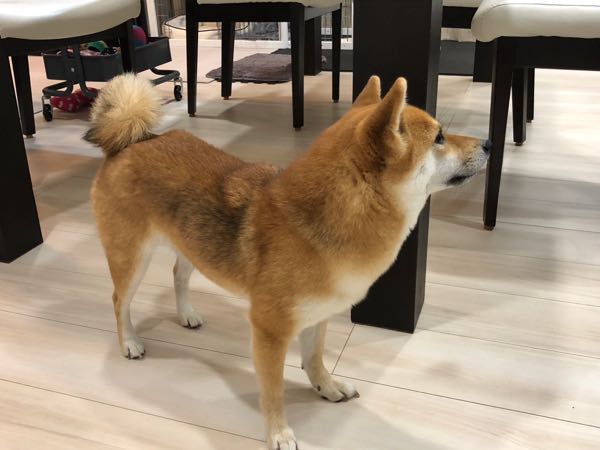 rblog-20180129103830-00.jpg