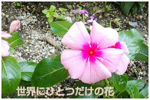rblog-20160628063114-00.jpg