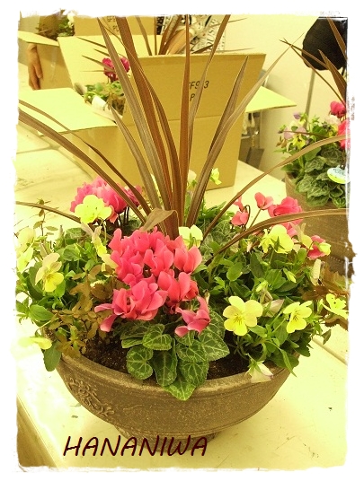 １０月カルチャーの寄せ植え