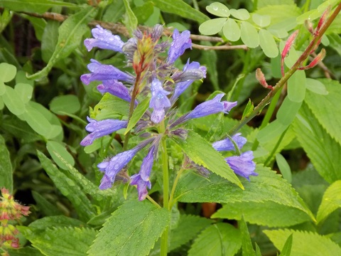 DSCN3894.JPG