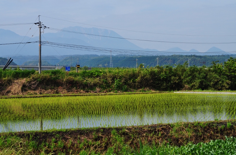 Ａ・梅雨の田園.jpg