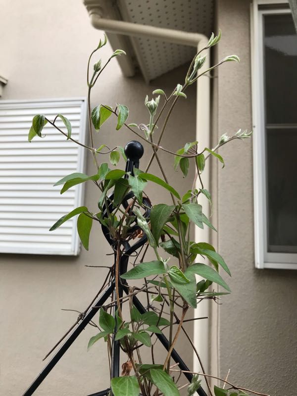 rblog-20190401164244-03.jpg