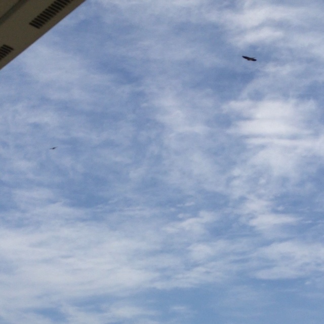 rblog-20130623072603-01.jpg