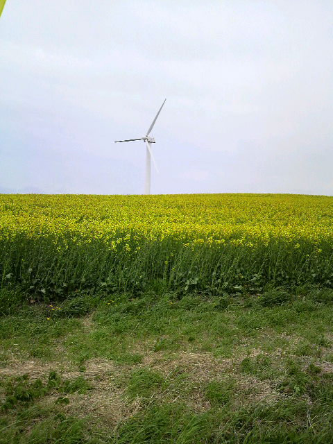 P1000120.jpg
