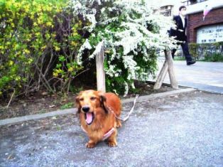 2012040507060003.jpg