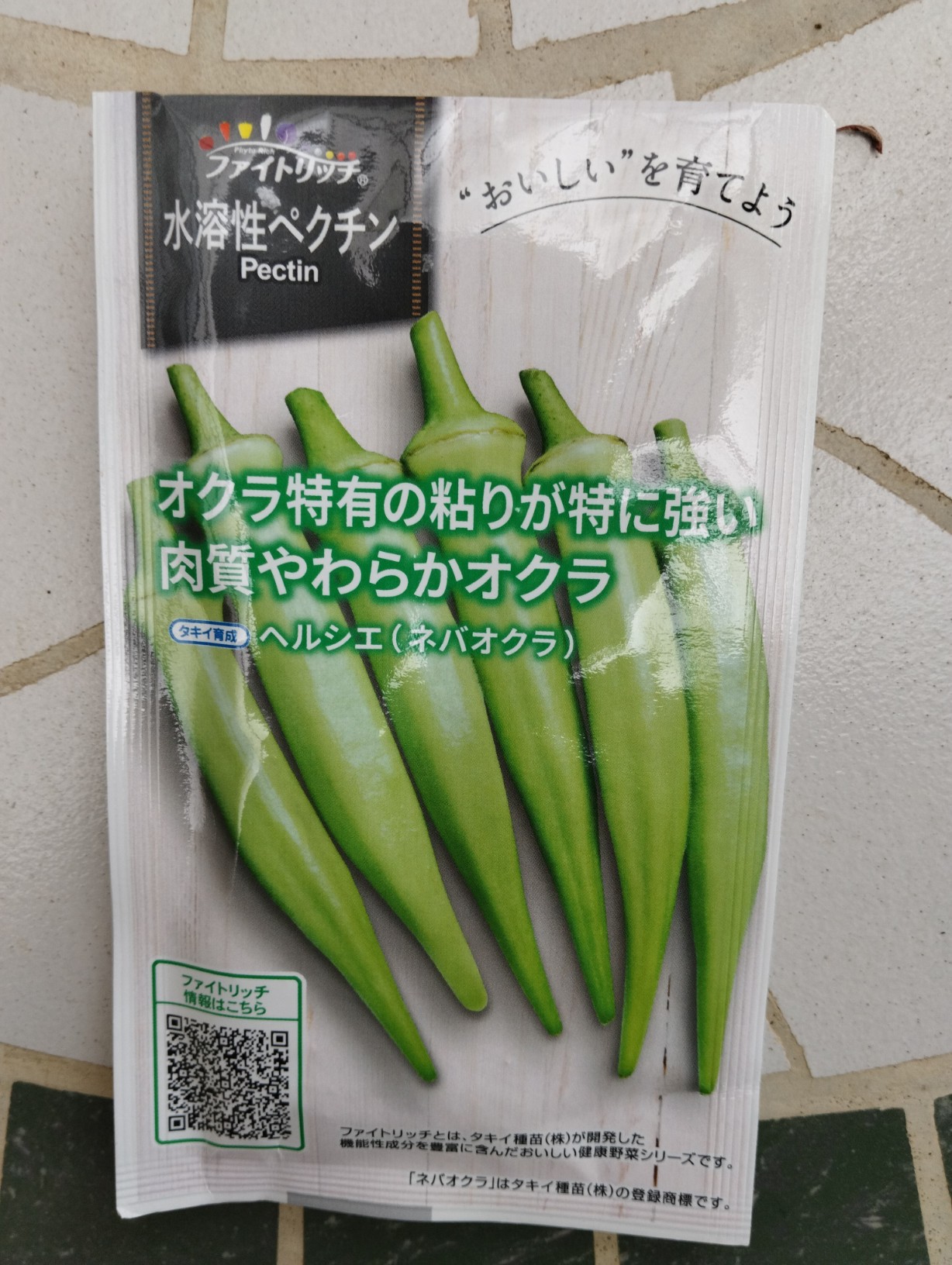 オクラの種蒔き | Futtutyの菜園ブログ - 楽天ブログ