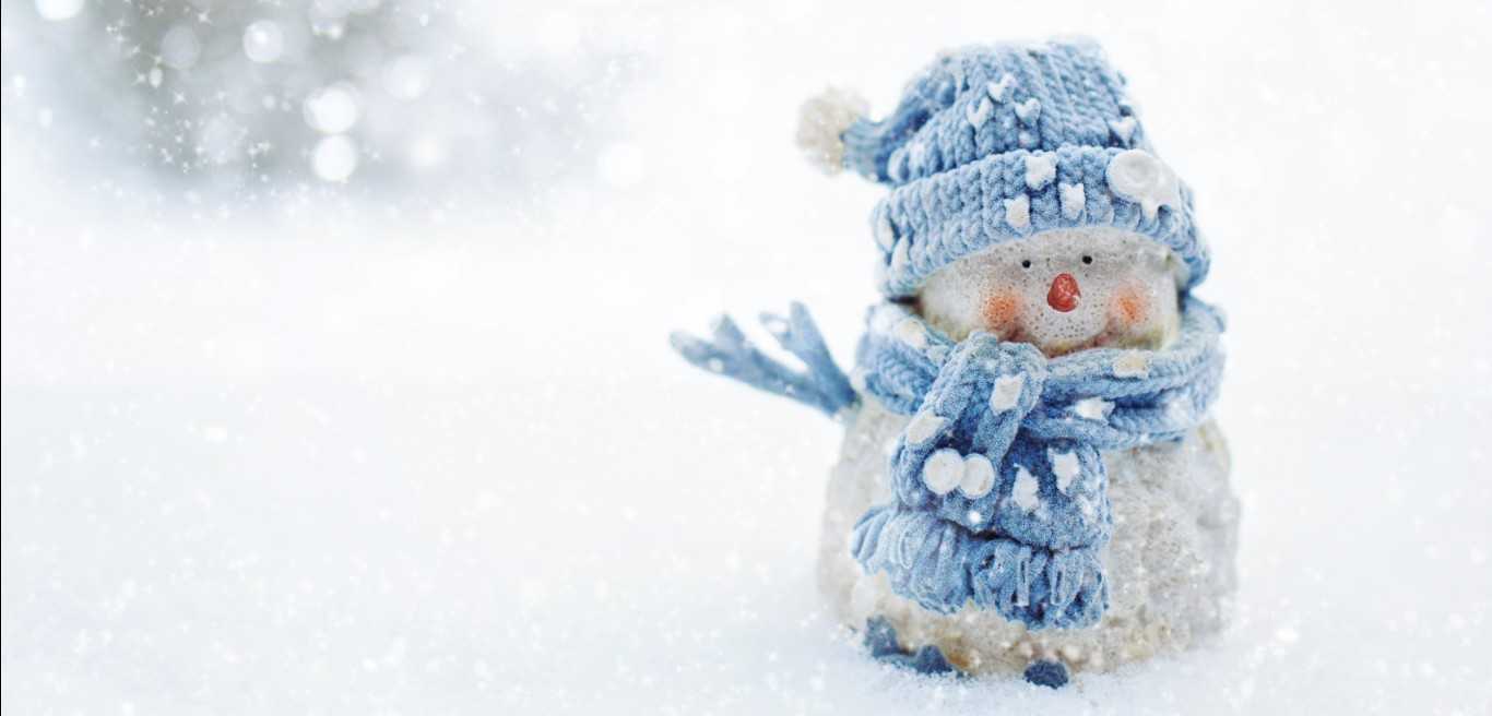 小さな幸せ集め時々猫