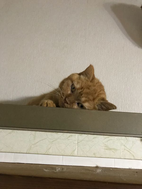rblog-20180925133929-01.jpg
