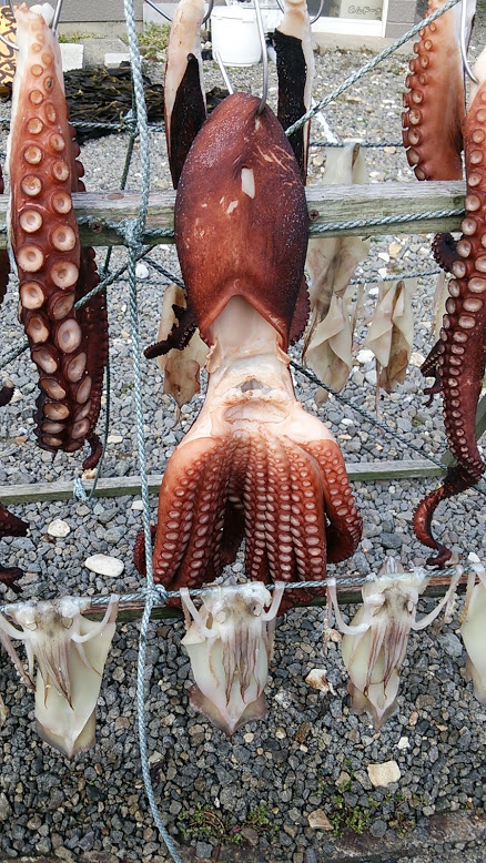 tako02