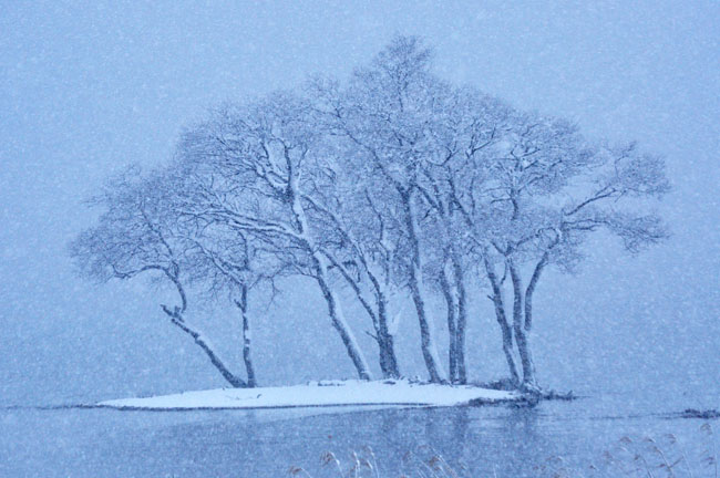 雪４
