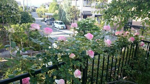 rblog-20170523184645-03.jpg