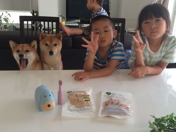 rblog-20160711012023-08.jpg