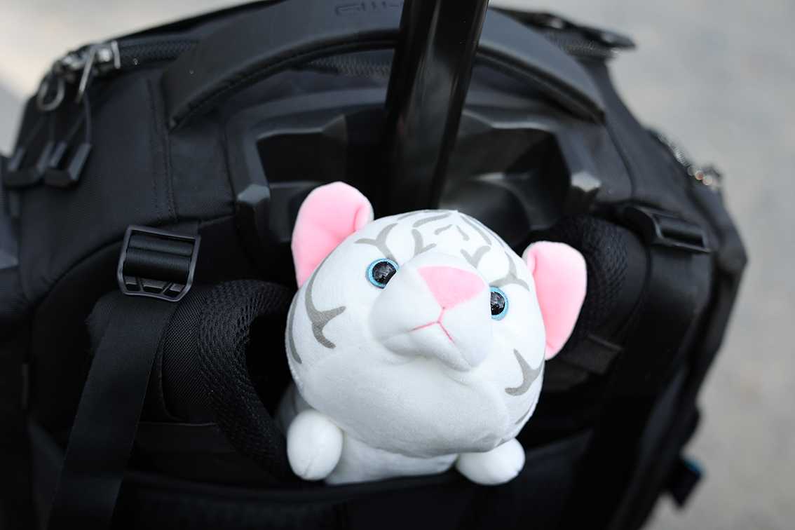 東武動物公園 ホワイトタイガーくじ 特賞 1等 特大ぬいぐるみ