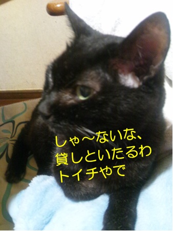 20120920_6.jpg