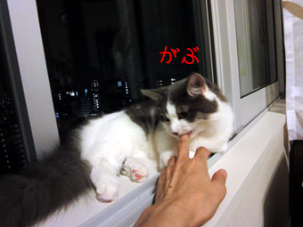mumu19.jpg