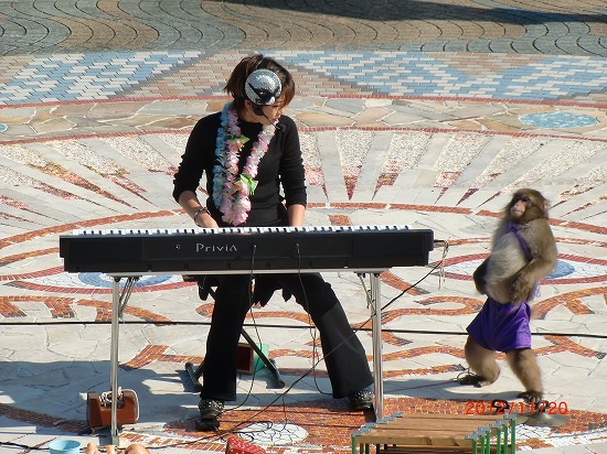 大道芸（猿廻し） 012.jpg