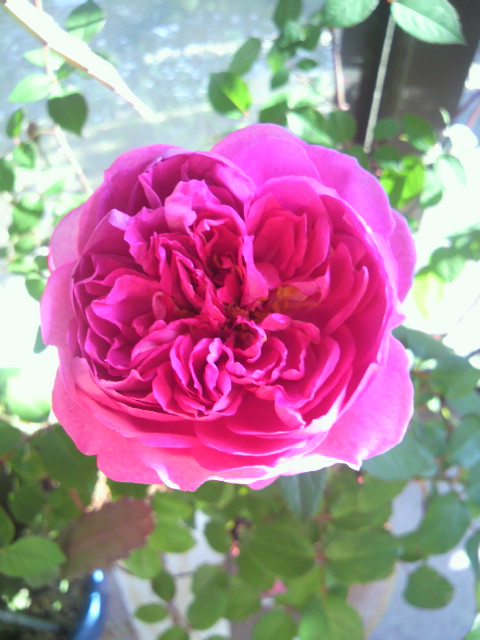 P1000057.JPG