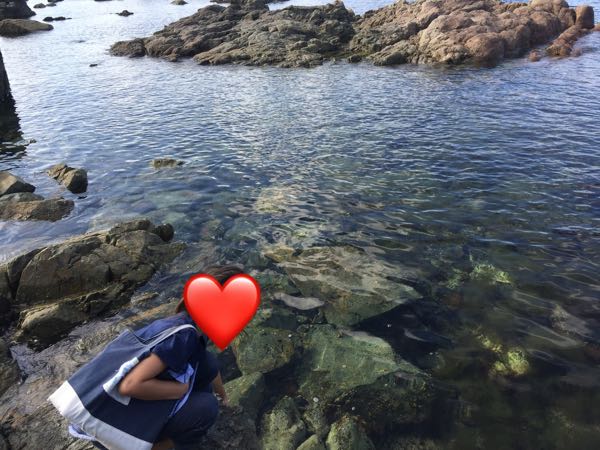 rblog-20180809103345-03.jpg