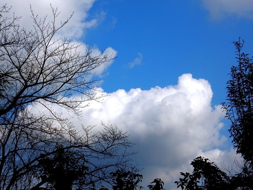 空