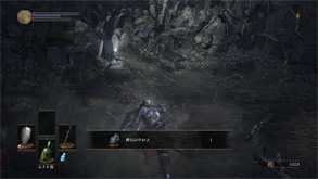 DS22.jpg