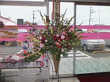 DSCF3784.jpg