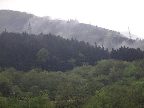 DSC00810.JPG