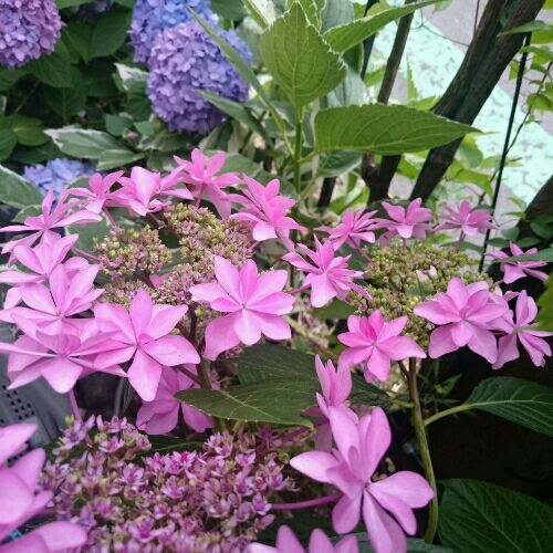 rblog-20180602095046-02.jpg