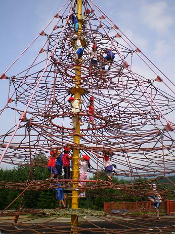 ネットジャングル