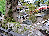 IMG_3126.JPG