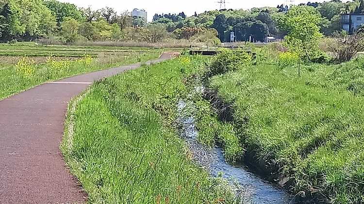 【ランニングコース】支川都川 | ふさの国から 晴走雨読パパの日記帳 - 楽天ブログ