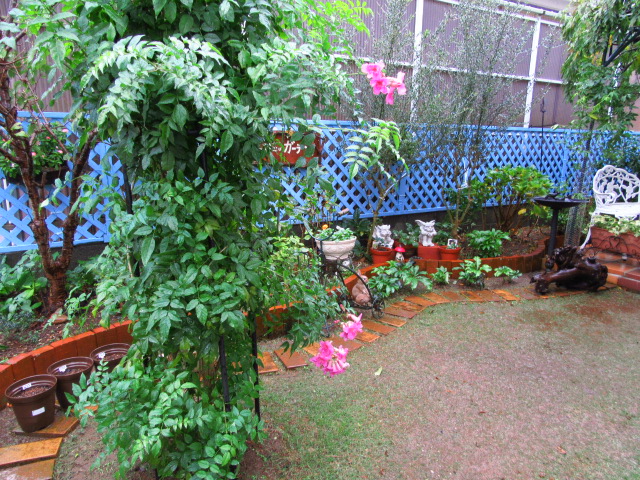 IMG_7779.JPG
