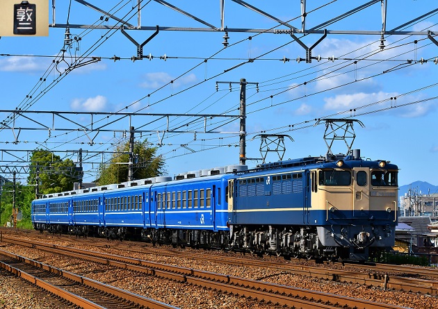 DSC_3827.JPG