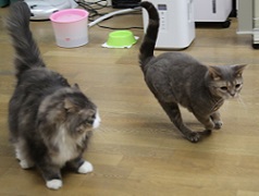 5DA_5155-5.jpg