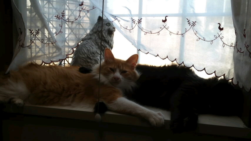 2012-08-24 00:28:19