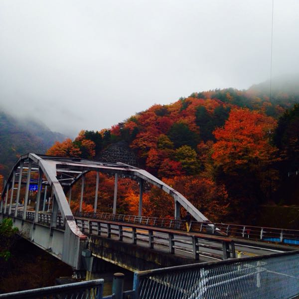 rblog-20141112172749-03.jpg