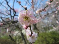 IMG_4986_R.JPG