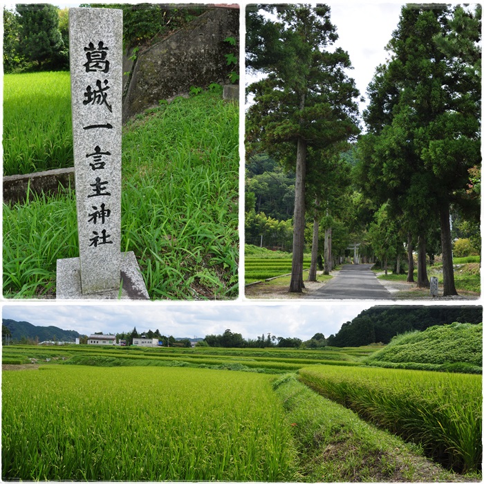 神社１
