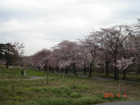 伊香保温泉 029-1.jpg