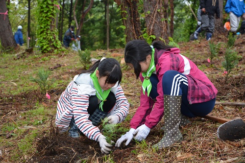檜山の森づくり植樹祭inえさし