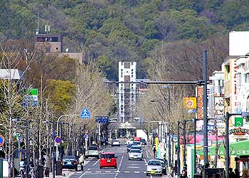 岡山大学前の通り(現在)