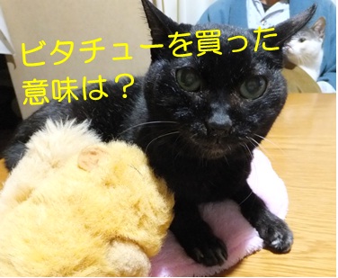 20121114_10.jpg